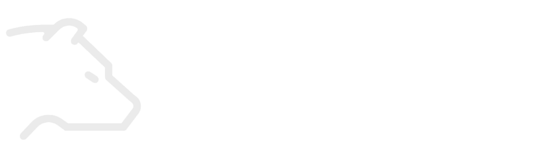 market bear
